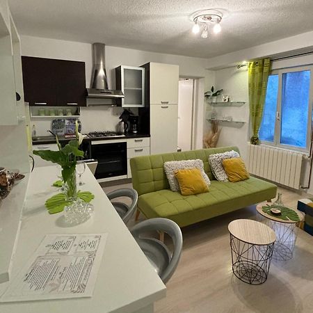 Apartman Edina Rijeka Buitenkant foto