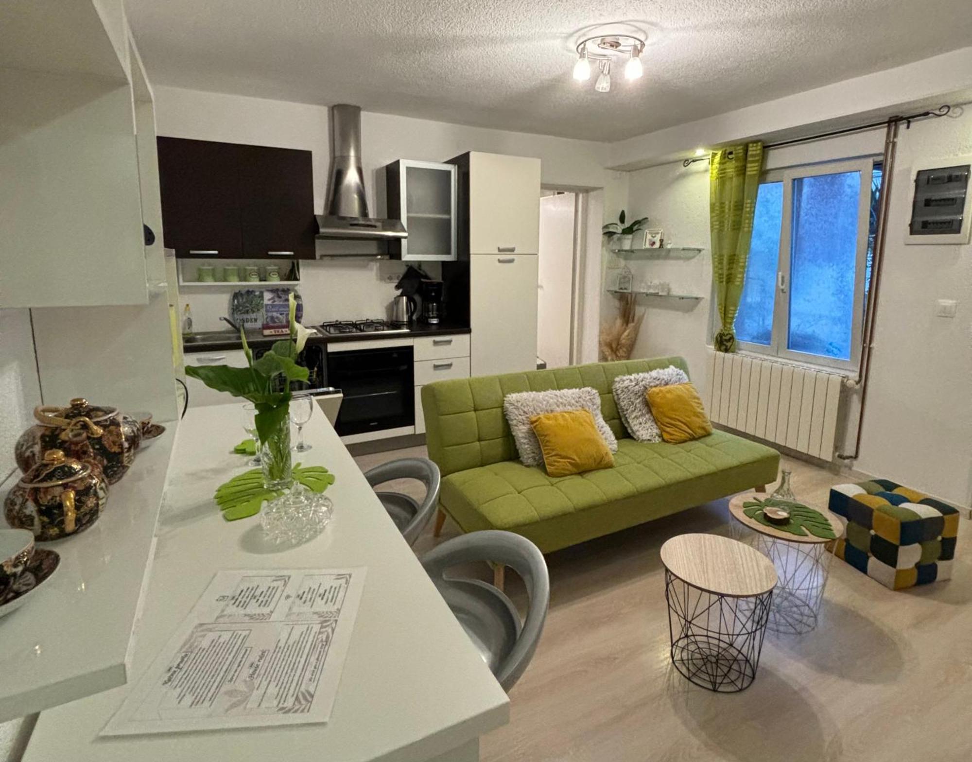 Apartman Edina Rijeka Buitenkant foto