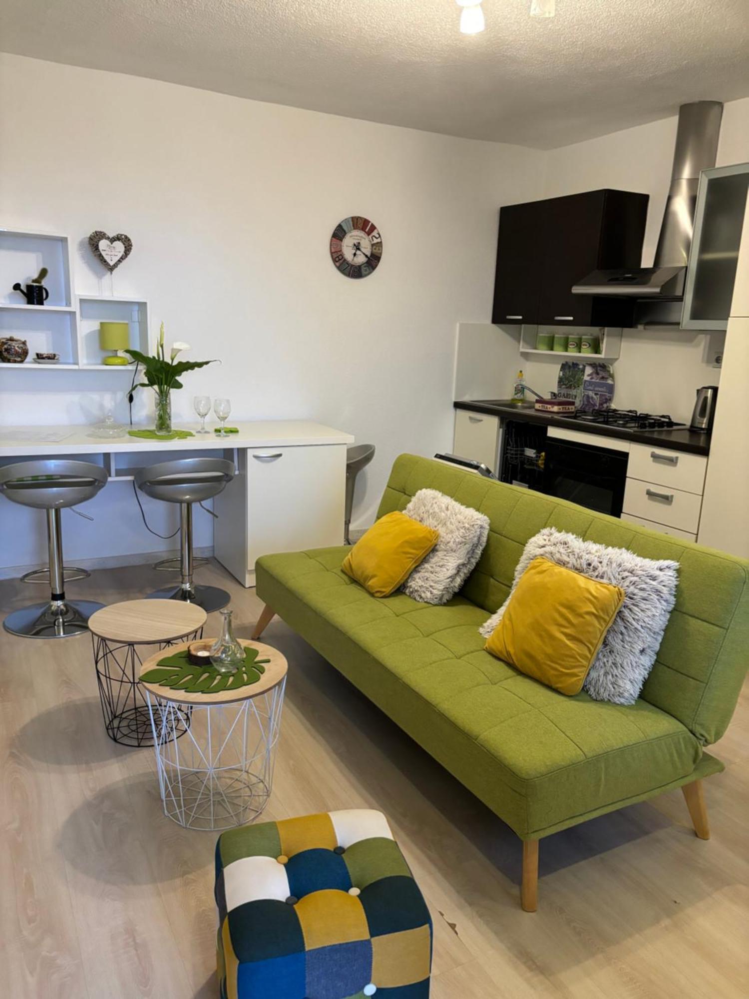 Apartman Edina Rijeka Buitenkant foto